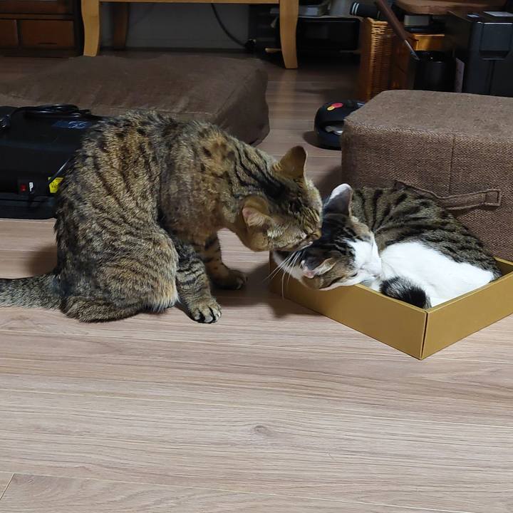 B9b41e4b 7f50 4d20 b13a f289343ba5cc 1764850879772