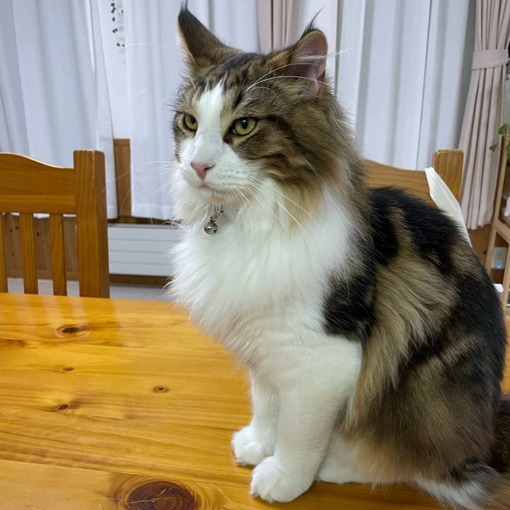 B9b4403f 7376 4cba b2e4 0b07947ac3a8 1642412111200