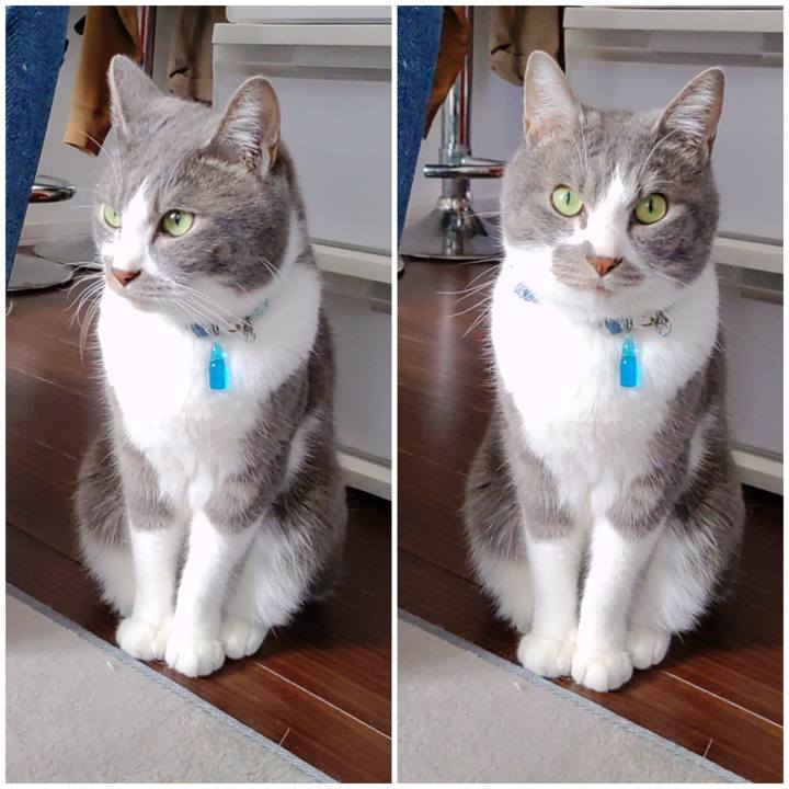 B9b478e8 c665 4e35 9771 de5886d6feaa 1676185991641