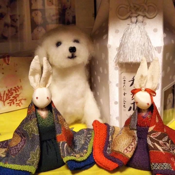 B9b48b88 f65d 448f 95bb cacb189b8b27 1551574481557