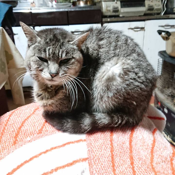 B9b4b27d 945c 460d 9d60 81f7bae1e9bc 1584478995179