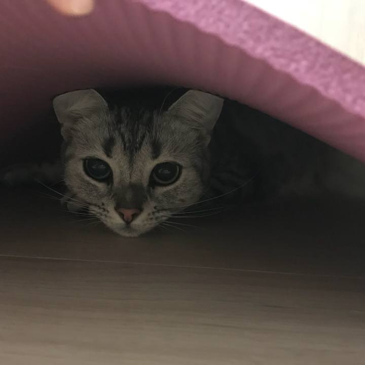 B9b4ee0a e9c2 4ad7 a832 c8e68828fb74 1536278680196