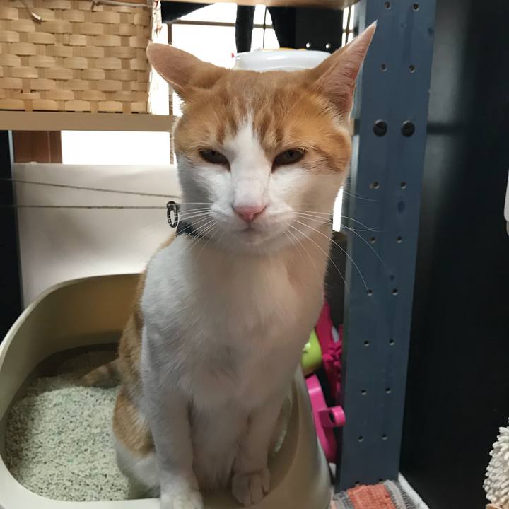 B9b4efa0 366d 4540 98ed 88a96cad243d 1522636276335