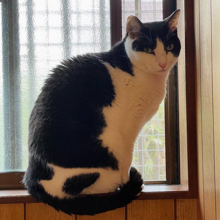 B9b5084a 71b1 49c6 978f 5785bb0cdf45 1653189852983