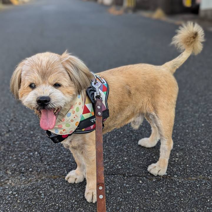 B9b558a8 f111 404b 8920 74643e9ccfb6 1724365983420