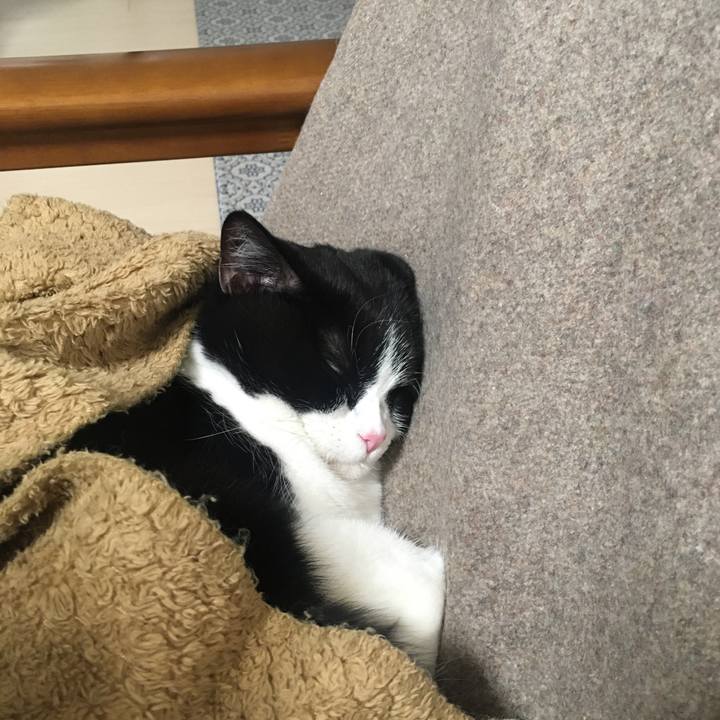 B9b58386 b0a7 4704 b37d 511e705e7ef6 1576412946758