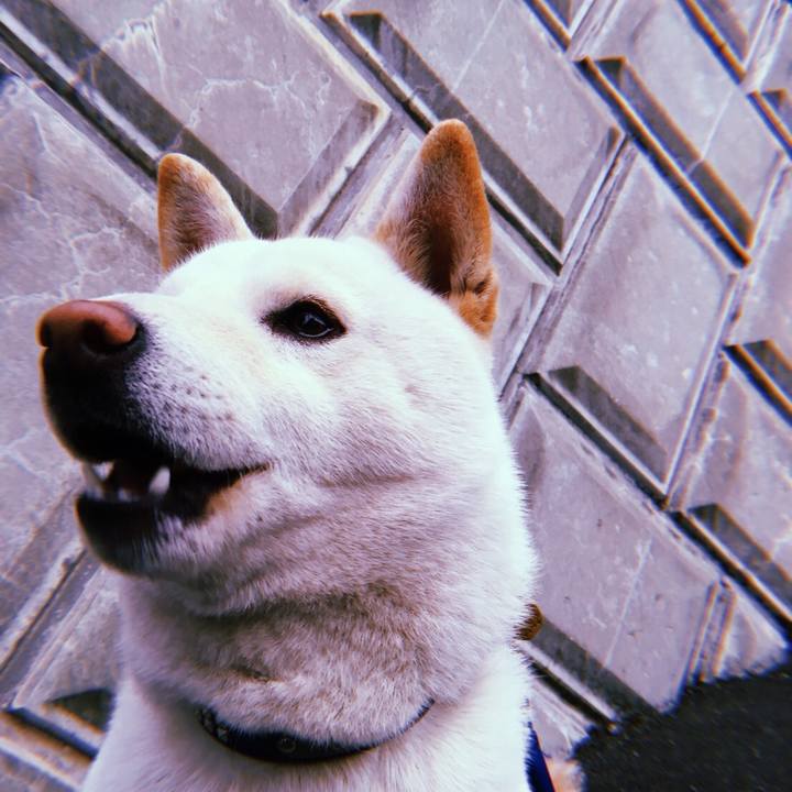 B9b58d67 ced7 41f3 a40a c538a1444d67 1514719432219