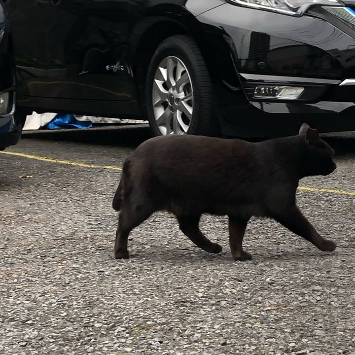 B9b5c04c 4184 473c a8a0 e01ce8532cc7 1607438068603