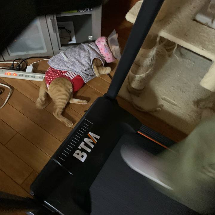 B9b5c83a 5bd7 47b9 b7c5 2d7b2fd4b9ce 1622727789189