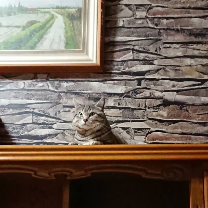 B9b5cc57 04e5 4c0e 801a 1bf400c01b50 1522804737204