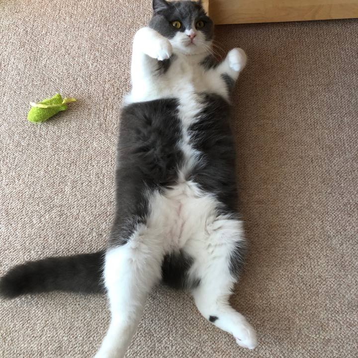 B9b5f3bd 46be 47fa 9da2 164a8cf0c435 1543303908459