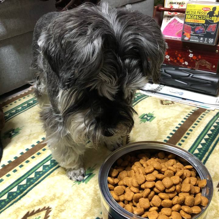 B9b60c0b 22f7 4646 9a24 183c759bd289 1617286243608