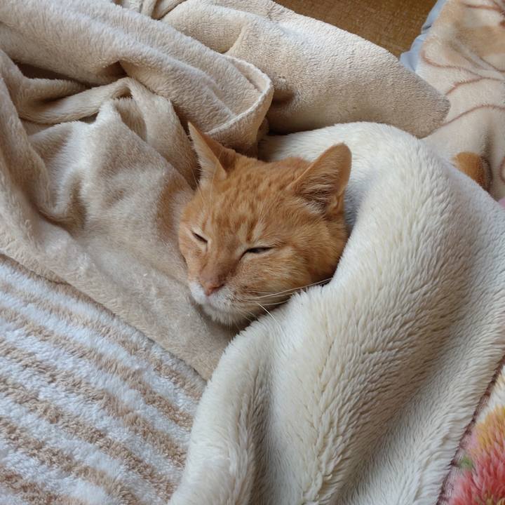 B9b613a0 623c 448c 8ea6 98b93820d8ea 1707299501669