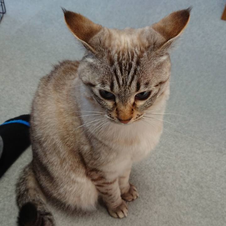 B9b61ef3 bf2c 4151 a978 88ece3f0afdd 1518486632425