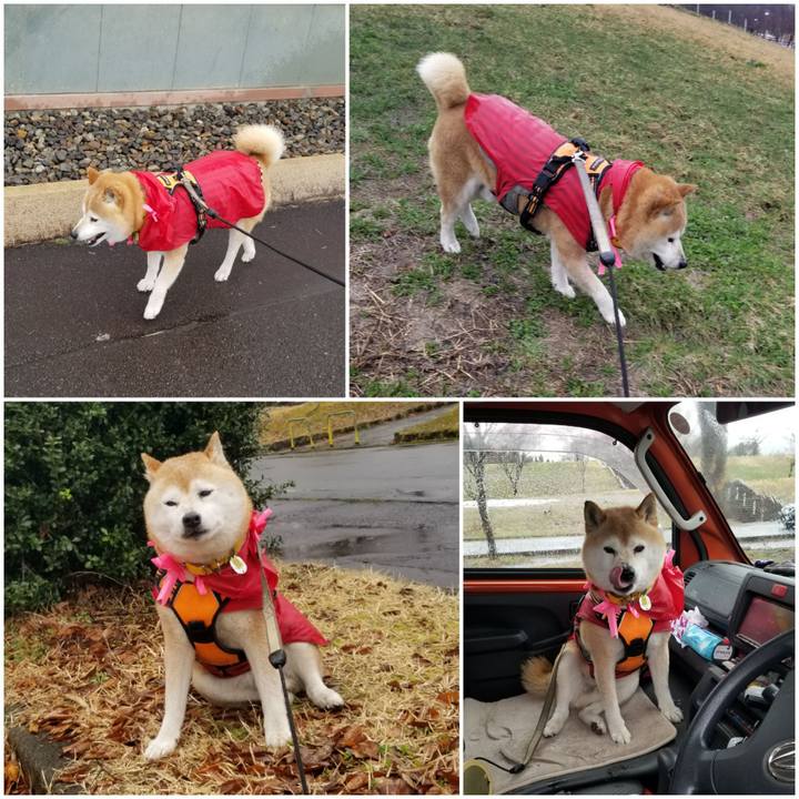 B9b63824 9856 4c56 9221 a9b40ba7181f 1679803206132