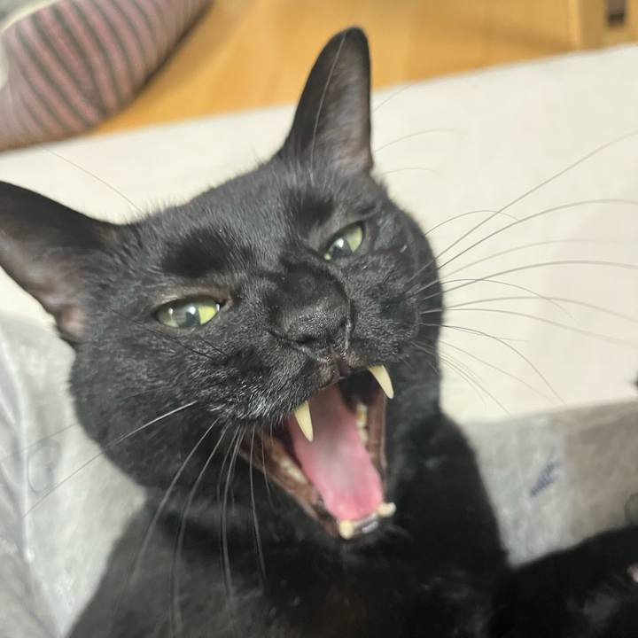 B9b64986 354e 4811 9359 29ef907a6e7c 1700130223792