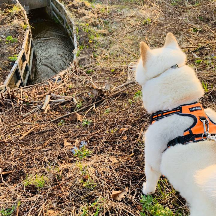 B9b65783 3fe9 48d4 9ab1 a7794774ff0d 1618868618797