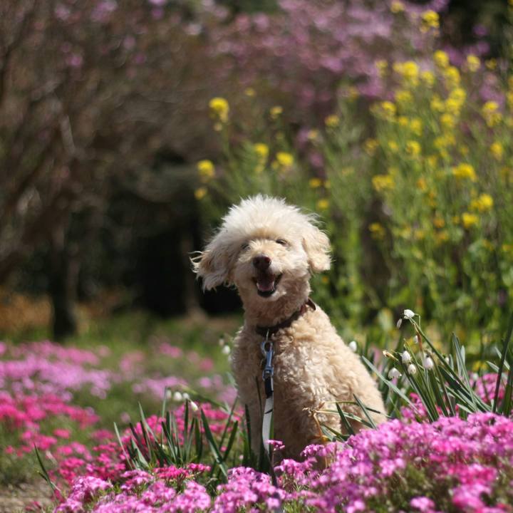 B9b659ba 5e38 4afc 8ac1 5b497aa44314 1619168640055