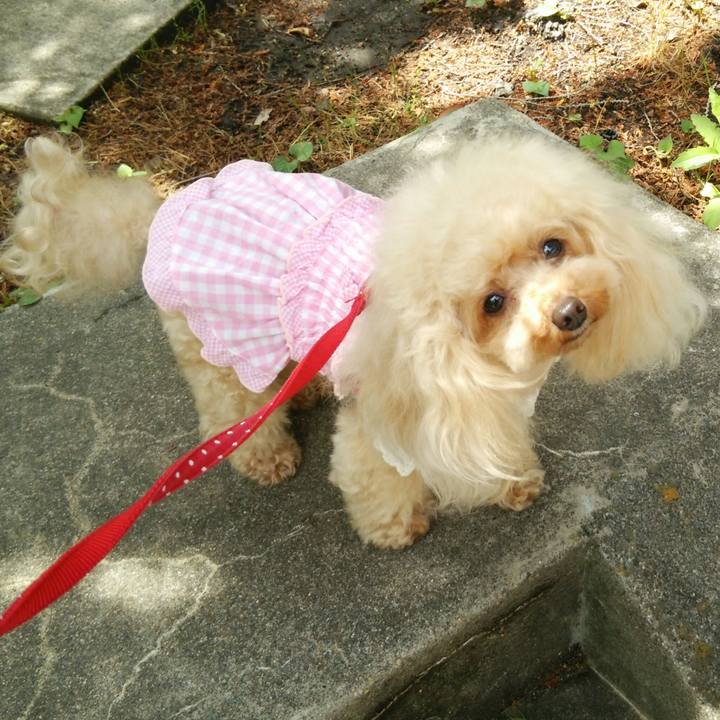 B9b66150 852a 4120 b1cd 83e3041333d1 1559120624341