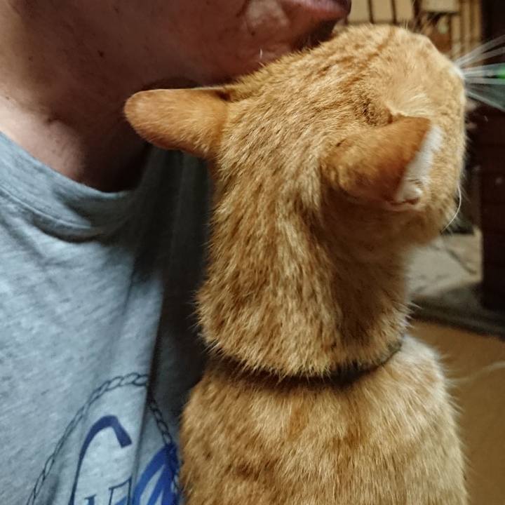 B9b6c988 daf0 4347 a18e c5ae57965aec 1597262400503