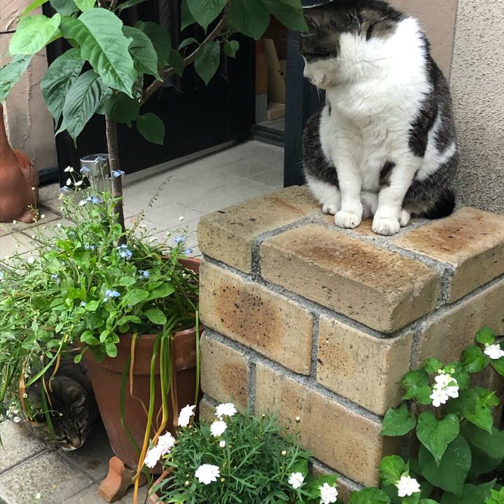 B9b72006 9251 4857 8b4d d8c85d3d8793 1590648656155