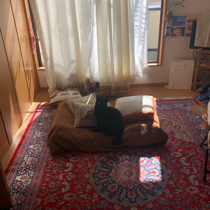 B9b73959 b253 40f9 8885 122cb8f26e91 1552107098398