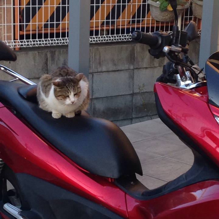 B9b75cd8 0fdc 4afd 9ccd 8f6615a6bce8 1512550832917