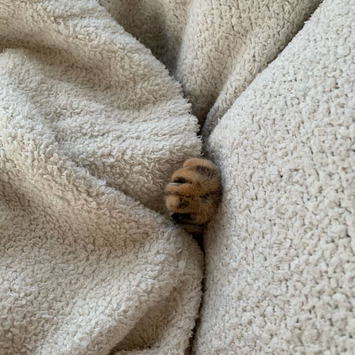 B9b76e35 e417 4f49 b725 4943bb3d4d02 1701996221191