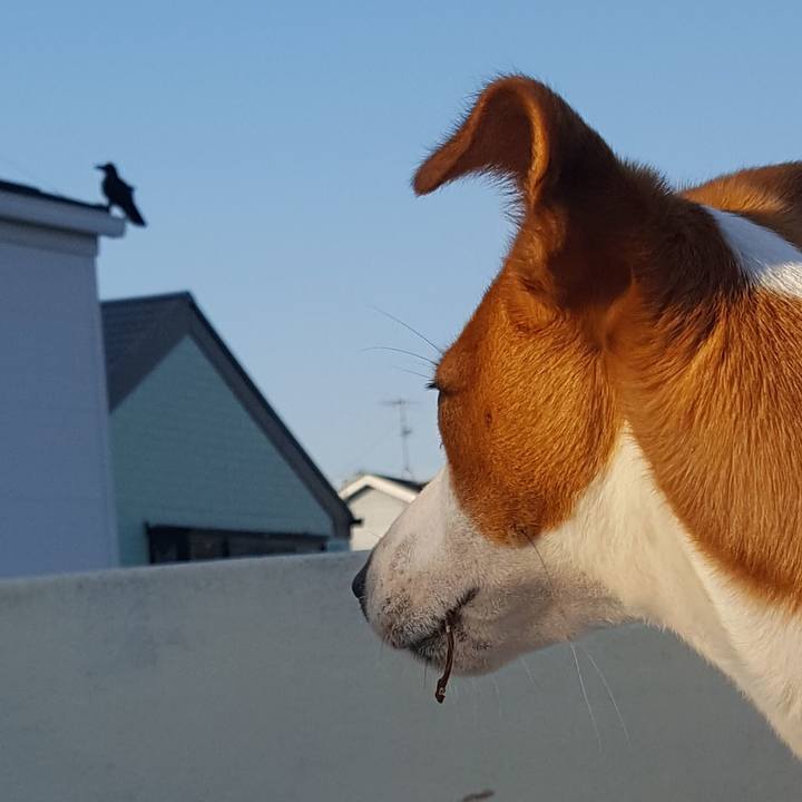 B9b7c39f 6349 4705 9b6c 6b51718aaba6 1559723598137