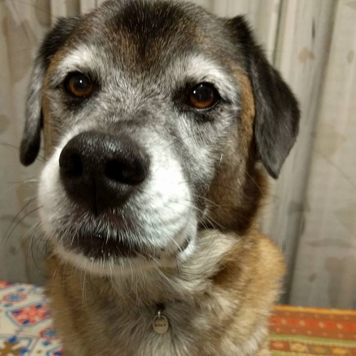 B9b7c863 512d 40aa 86ef 722785becd0a 1539599392535