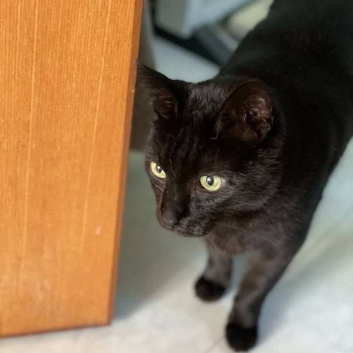 B9b7ddd2 838c 46a7 bc3e 4f98eb9abb3a 1620266214907