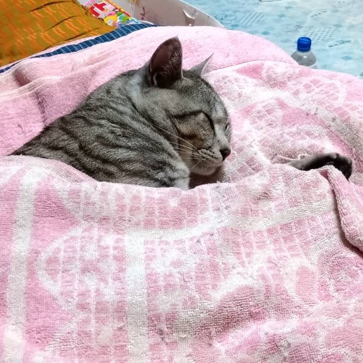 B9b7eadd 4b81 408d 8d4c 1d0222588176 1682261886830