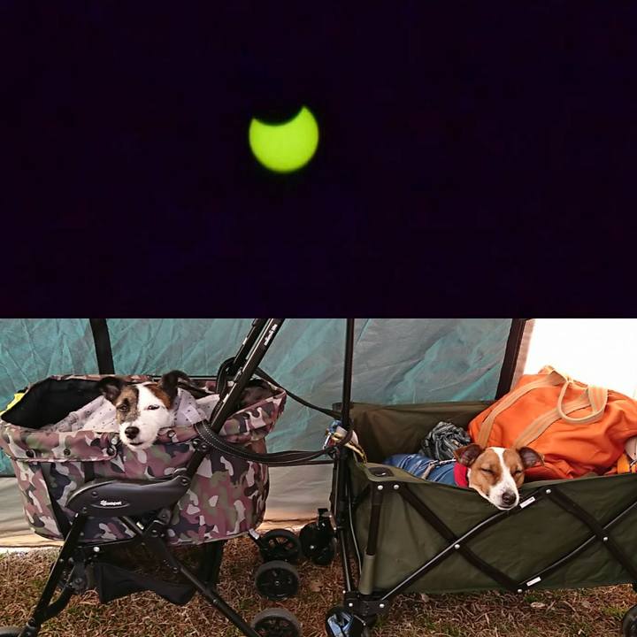 B9b7f886 1e9f 4e19 9d14 208d6ed095b4 1546736639105