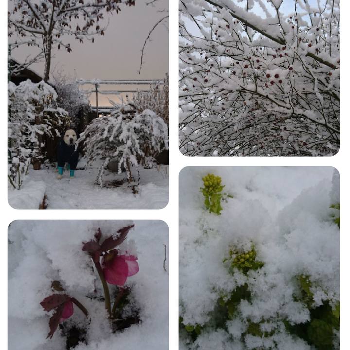 B9b802f8 4e29 4aab a2cf ee966403a426 1518397197057