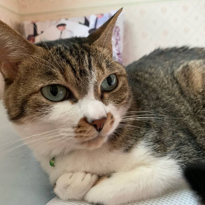 B9b81330 8d6a 4a58 a8bd 2fd3db625b22 1605765774460