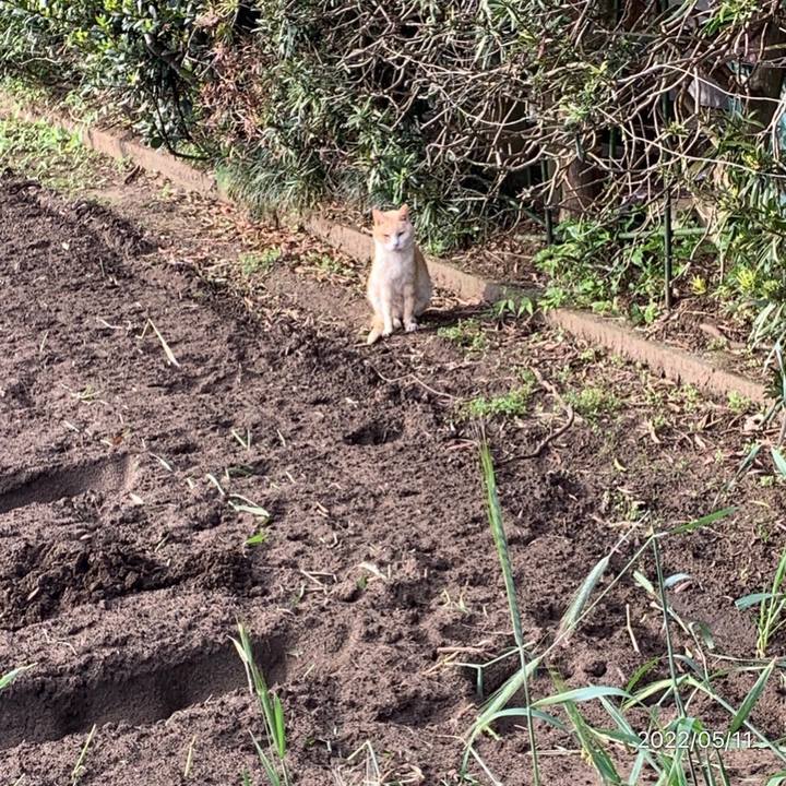 B9b827ee 126c 44dd 8c32 d6965d9cc3c1 1652276158904