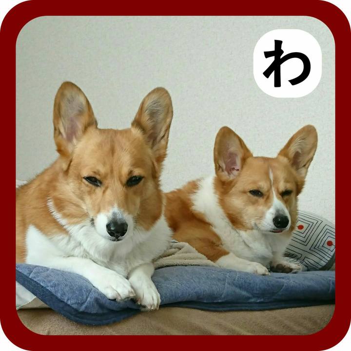 B9b8408b c966 488f 8126 ee1fdd23a13c 1514860897420