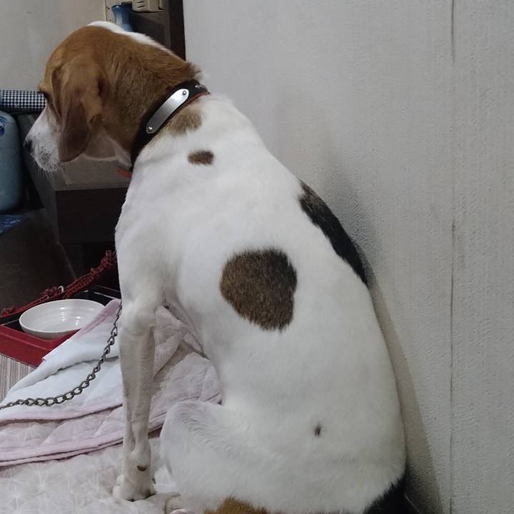 B9b85855 7a3a 48af 8d66 ed7047f7c329 1631019377467