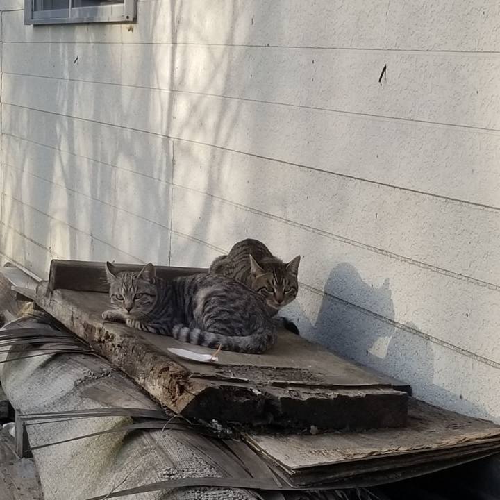 B9b86756 0573 4b13 88d2 dd9d5d37b516 1588430248188