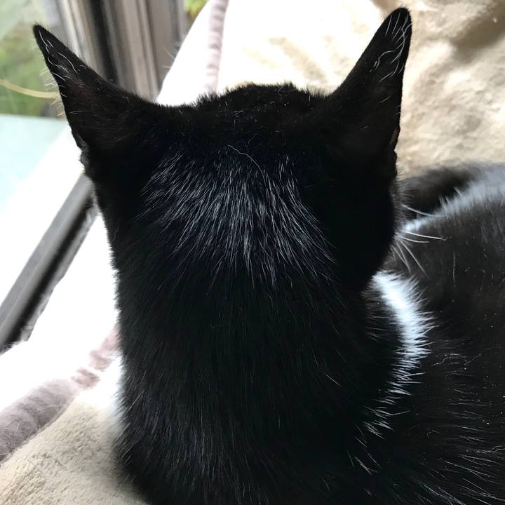 B9b86ebc 2af3 4951 986c bc966d13871b 1551682668703