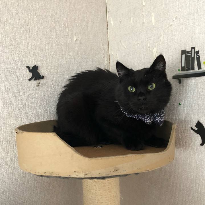 B9b87a6e 5c52 4e77 87e2 e327e0a37fac 1581715952145