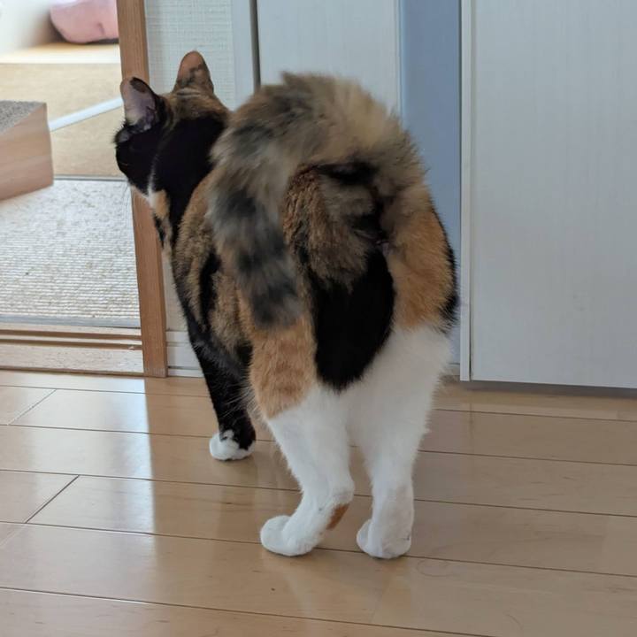 B9b8827f e011 4972 9cb7 8d164a01042f 1760939925511