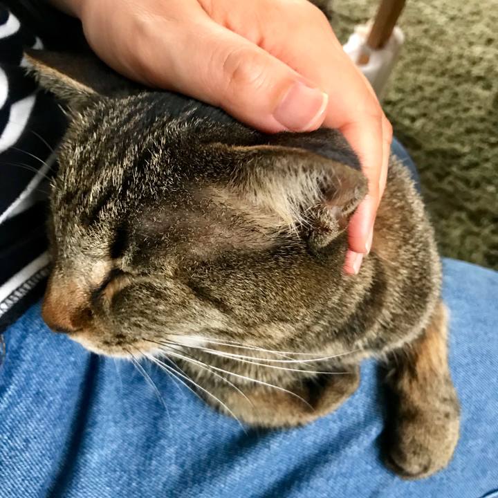 B9b8e0fb f112 4198 8a8e e767ea0eece0 1556178731672