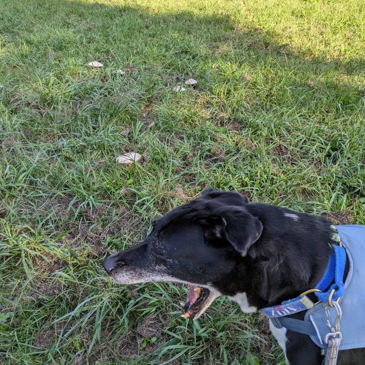 B9b8e4ab 13a9 4bc1 bc70 2879301ede31 1728692373011