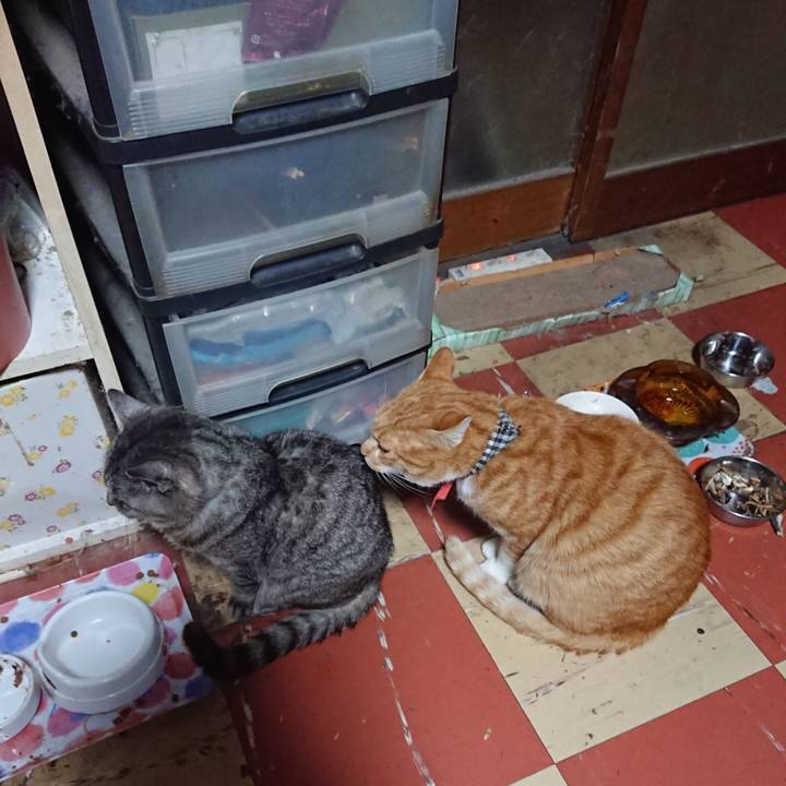 B9b8f78d 55ed 4de1 bd2c 9ee174262cf6 1572897063395