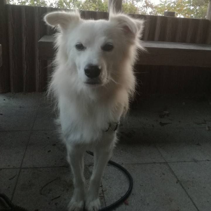 B9b8fe15 fe0b 49fb a656 07c98e379ee5 1511166903479