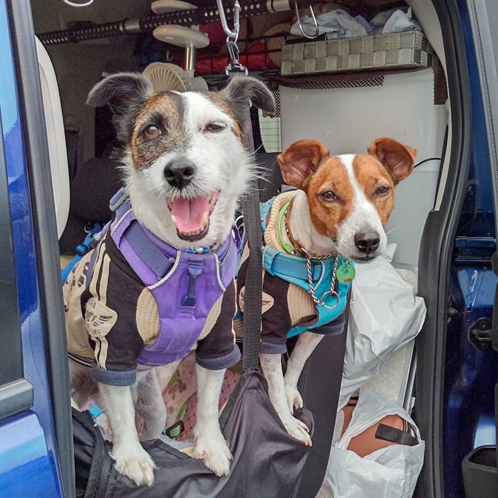 B9b91cef 9a80 4caa 8f20 bfc33c763d21 1658138288348