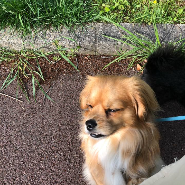 B9b92c56 4254 4dc6 94ef bb5bdb6bec5c 1556839038670