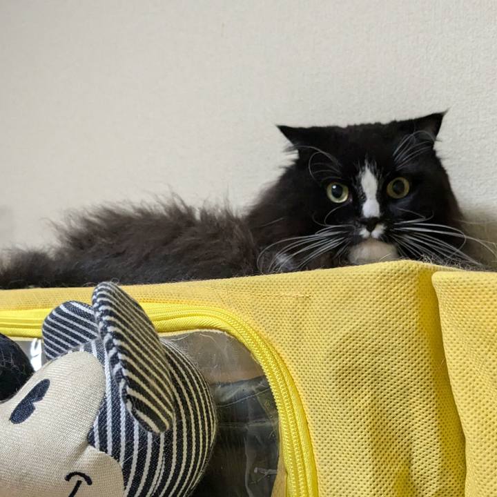 B9b93827 8716 47a8 a915 bc9aa972064e 1731768334054