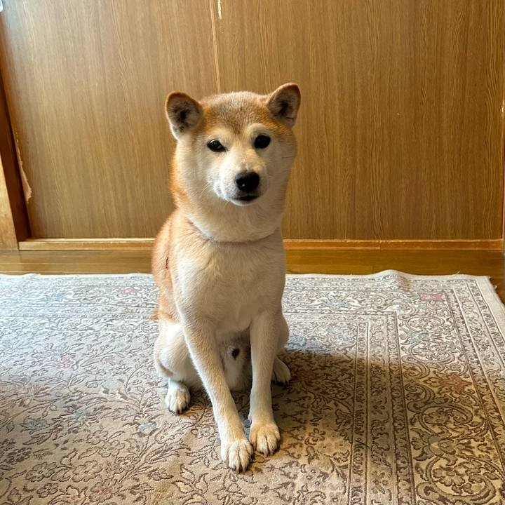 B9b93e65 5764 4723 91b3 d4a32027ccd6 1755690069086